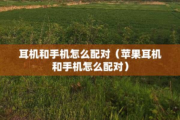 耳机和手机怎么配对（苹果耳机和手机怎么配对）