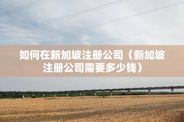如何在新加坡注册公司（新加坡注册公司需要多少钱）
