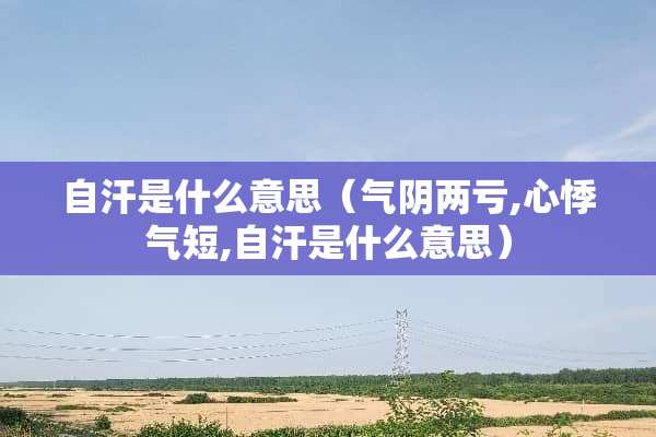 自汗是什么意思（气*两亏,心悸气短,自汗是什么意思）
