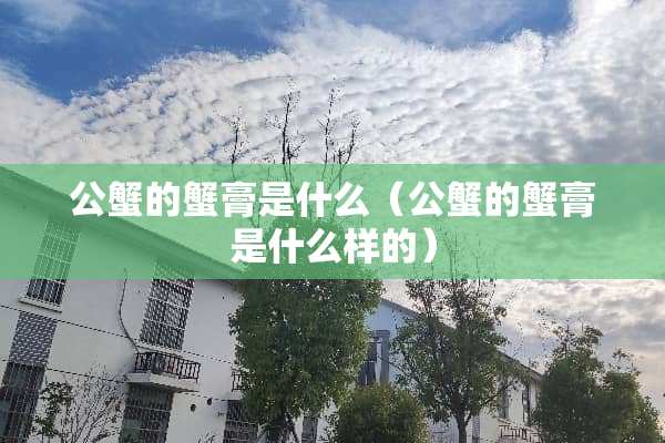 公蟹的蟹膏是什么（公蟹的蟹膏是什么样的）