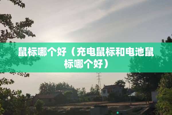 鼠标哪个好（充电鼠标和电池鼠标哪个好）