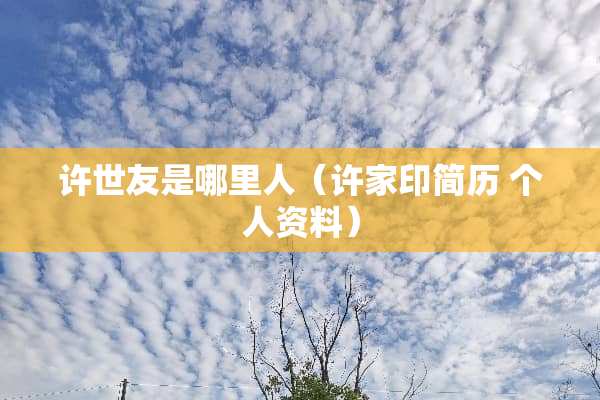 ***是哪里人（许家印简历 个人资料）