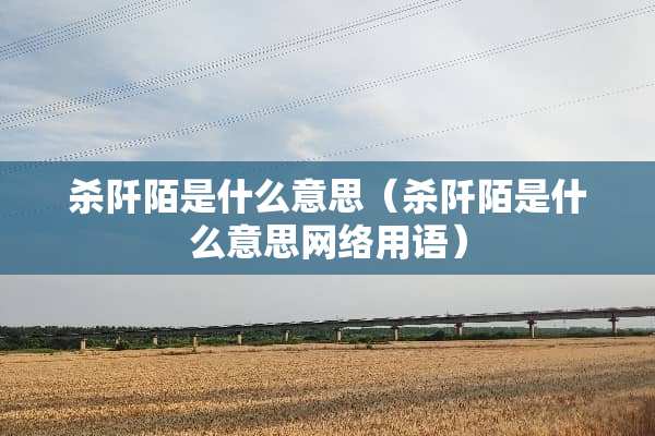 杀阡陌是什么意思（杀阡陌是什么意思网络用语）