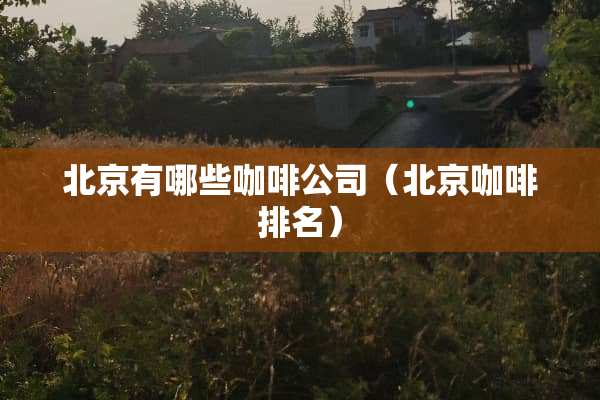 北京有哪些咖啡公司（北京咖啡排名）