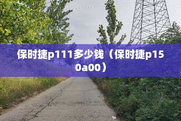 保时捷p111多少钱（保时捷p150a00）