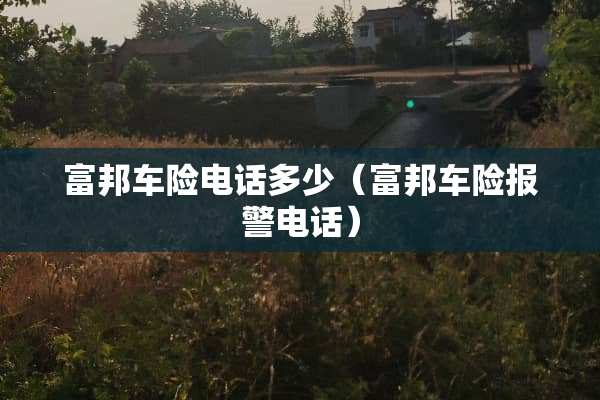 富邦车险电话多少（富邦车险报警电话）
