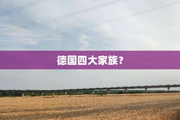 德国四大家族？