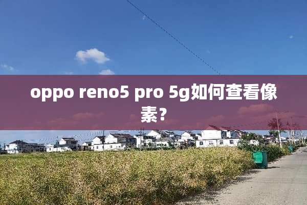 oppo reno5 pro 5g如何查看像素？