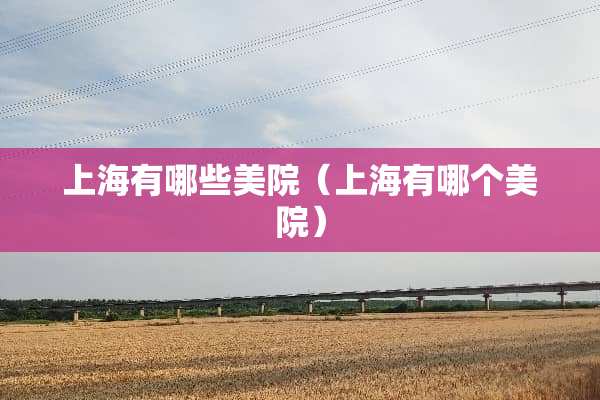 上海有哪些美院（上海有哪个美院）