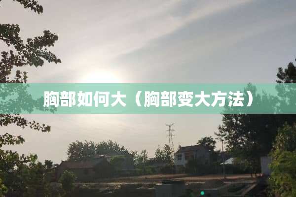 **如何大（**变大方法）