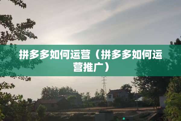 拼多多如何运营（拼多多如何运营推广）