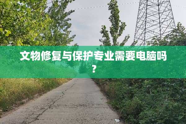 文物修复与保护专业需要电脑吗？