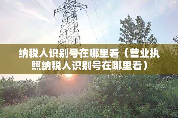 纳税人识别号在哪里看（营业执照纳税人识别号在哪里看）