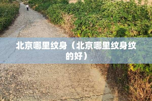 北京哪里纹身（北京哪里纹身纹的好）