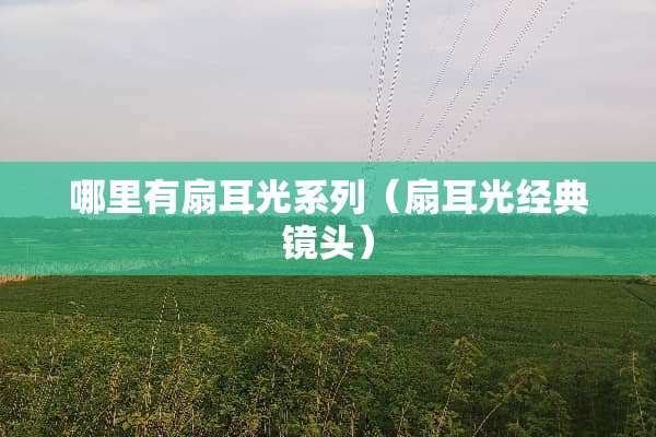 哪里有扇耳光系列（扇耳光经典镜头）
