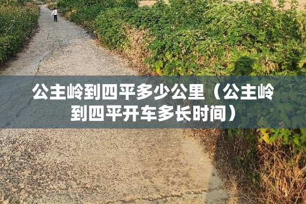 公主岭到四平多少公里（公主岭到四平开车多长时间）