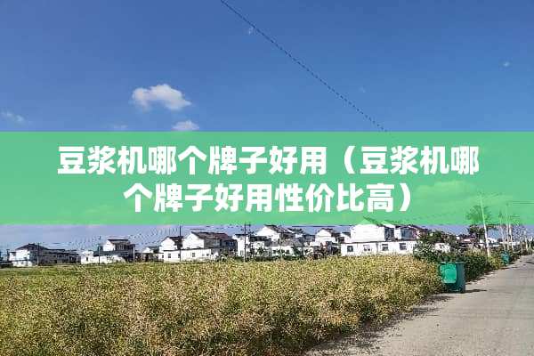 豆浆机哪个牌子好用（豆浆机哪个牌子好用性价比高）