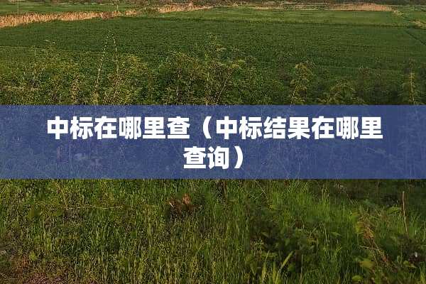 中标在哪里查（中标结果在哪里查询）
