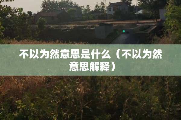 不以为然意思是什么（不以为然 意思解释）