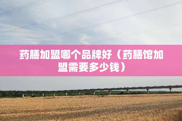 药膳加盟哪个品牌好（药膳馆加盟需要多少钱）