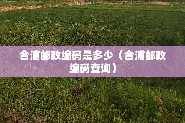合浦邮政编码是多少（合浦邮政编码查询）