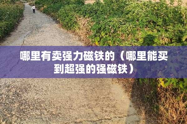 哪里有卖强力磁铁的（哪里能买到超强的强磁铁）