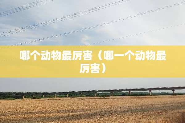 哪个动物最厉害（哪一个动物最厉害）