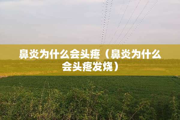 鼻炎为什么会头疼（鼻炎为什么会头疼发烧）