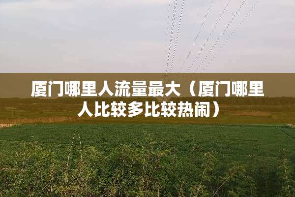 厦门哪里人流量最大（厦门哪里人比较多比较热闹）