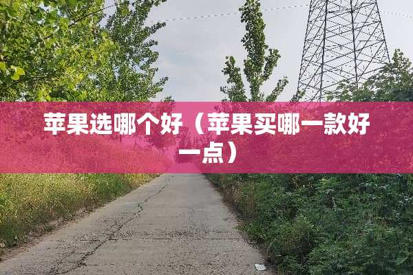 苹果选哪个好（苹果买哪一款好一点）