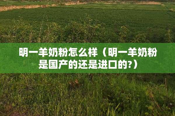 明一羊奶粉怎么样（明一羊奶粉是国产的还是进口的?）