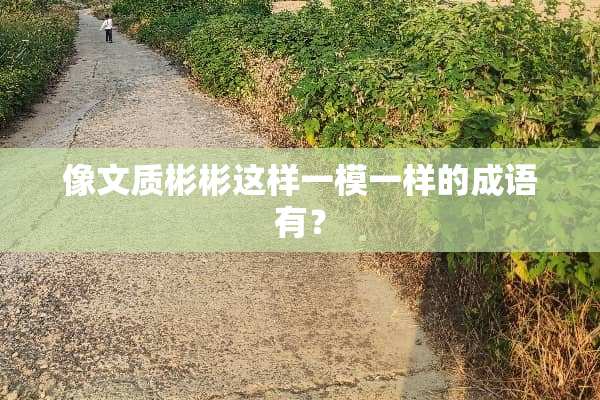 像文质彬彬这样一模一样的成语有？