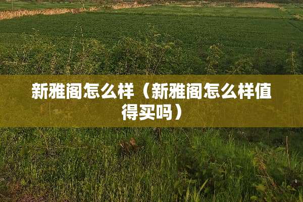 新雅阁怎么样（新雅阁怎么样值得买吗）