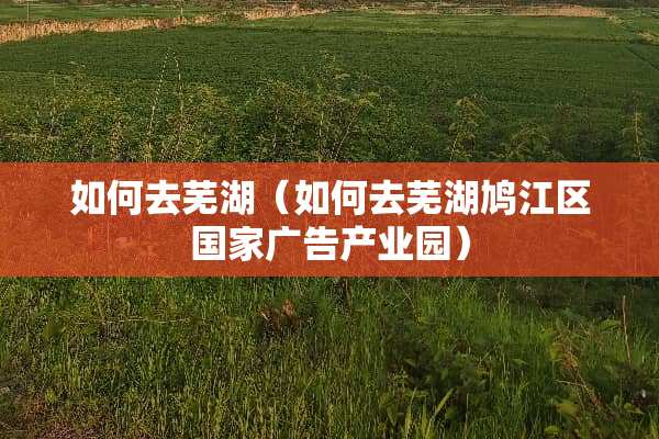如何去芜湖（如何去芜湖鸠江区国家广告产业园）