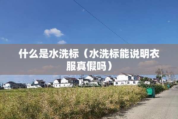 什么是水洗标（水洗标能说明衣服真假吗）