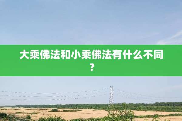 大乘佛法和小乘佛法有什么不同？