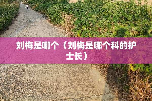 刘梅是哪个（刘梅是哪个科的护士长）