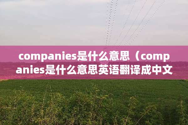 companies是什么意思（companies是什么意思英语翻译成中文）