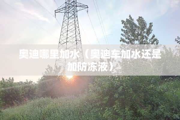 奥迪哪里加水（奥迪车加水还是加防冻液）