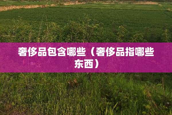 奢侈品包含哪些（奢侈品指哪些东西）