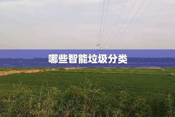 哪些智能垃圾分类
