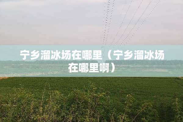 宁乡溜冰场在哪里（宁乡溜冰场在哪里啊）
