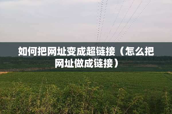 如何把网址变成超链接（怎么把网址做成链接）