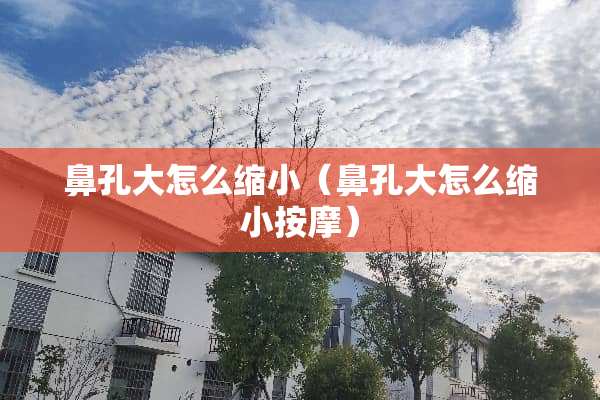 鼻孔大怎么缩小（鼻孔大怎么缩小按摩）