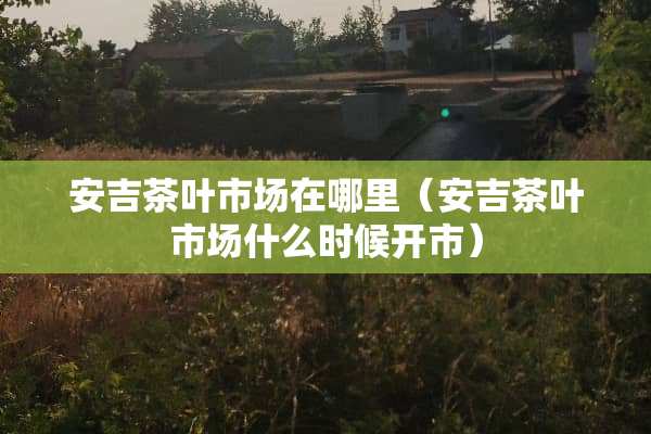 安吉茶叶市场在哪里（安吉茶叶市场什么时候开市）