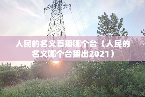 人民的名义首播哪个台（人民的名义哪个台播出2021）
