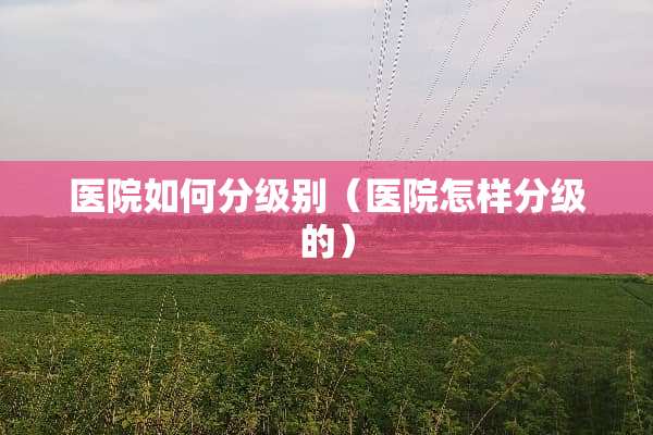 医院如何分级别（医院怎样分级的）