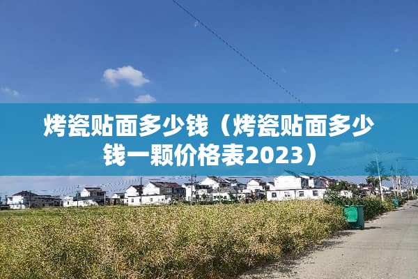 烤瓷贴面多少钱（烤瓷贴面多少钱一颗价格表2023）