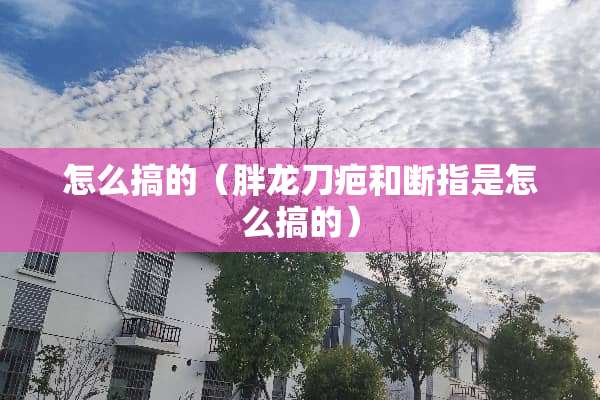 怎么搞的（胖龙刀疤和断指是怎么搞的）