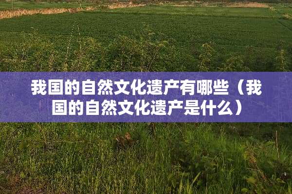 我国的自然文化遗产有哪些（我国的自然文化遗产是什么）